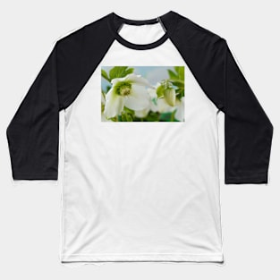 Helleborus x hybridus  &#39;Pretty Ellen White&#39;  Hellebore Baseball T-Shirt